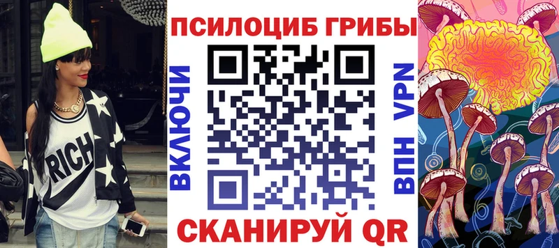 продажа наркотиков  Абдулино  Псилоцибиновые грибы мицелий 